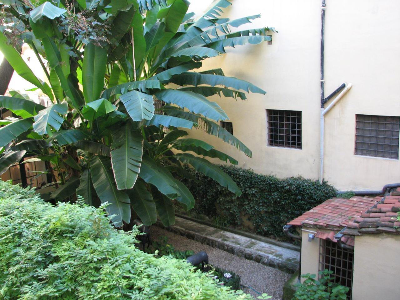 Fiordaliso Florencia